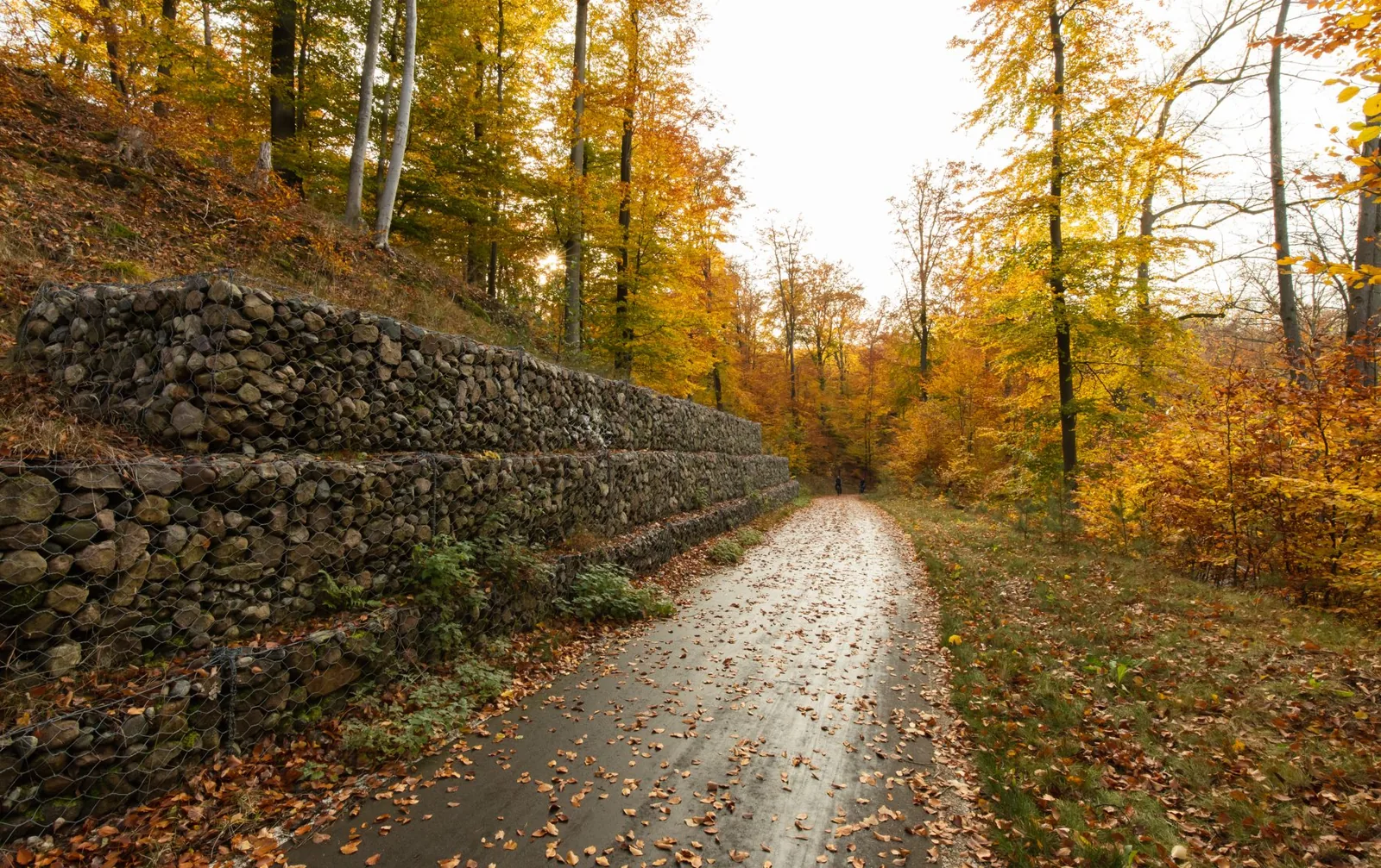 retaining wall vs fence