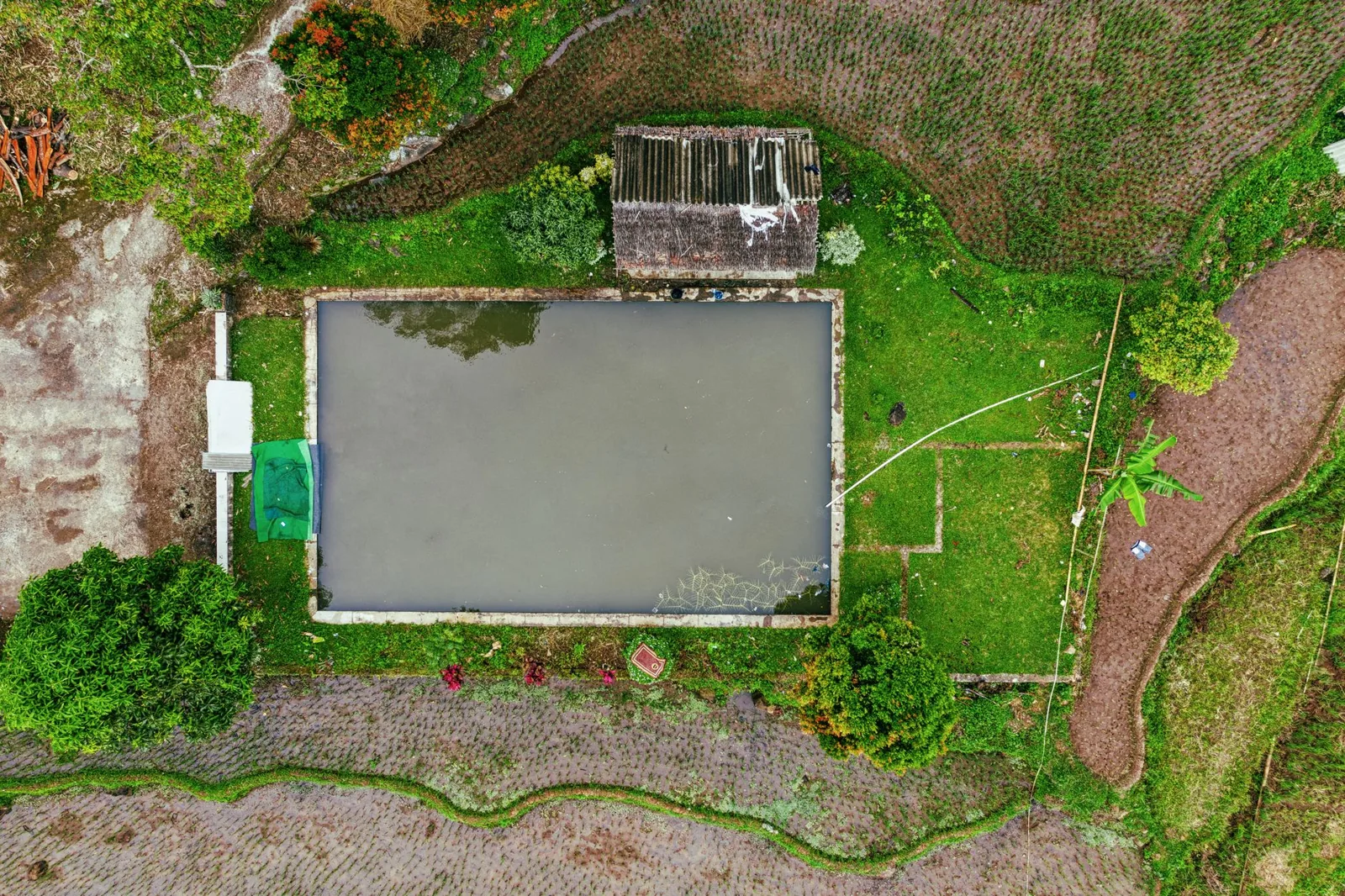 Above ground pool cost installed — a round pool in a landscaped backyard