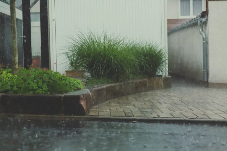 Dry Well vs French Drain: Which Handles Yard Water Best?