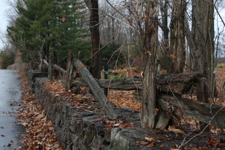 Wood vs Stone Retaining Wall Cost: What You’ll Pay Per Linear Foot